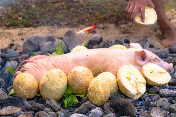 cooking pig and ulu on hot umu rocks