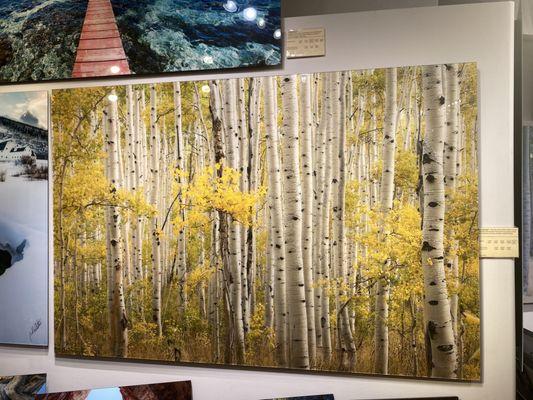 "Aspen Universe". A 4' x 8.5' Park City souvenir to take back to Chicago