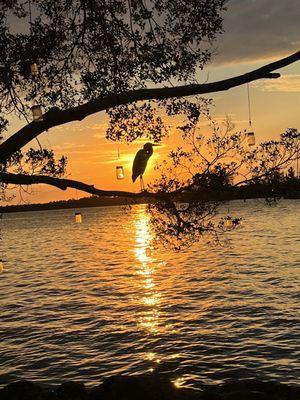 Sunset on the port