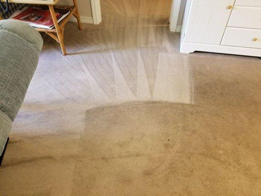 Carpet Cleaning