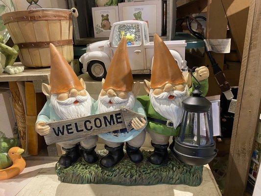 Welcoming Gnomes