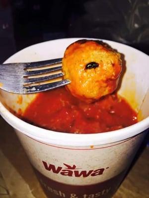 Fly on meatballs.