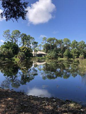 Homes in Autumn Woods Naples, Florida