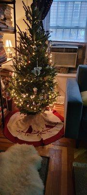 Bought my beautiful Christmas tree here on Saturday 12/11/21. This tree is soft, fresh, healthy, and gorgeous!