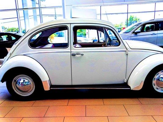 Toms River Volkswagen -- showroom