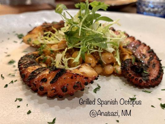 Grilled Spanish Octopus