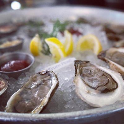 Oysters