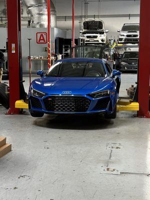 My 2021 R8 getting titanium Cutback!