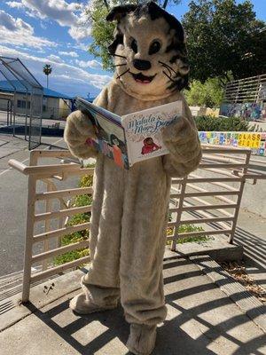 Read Across America week with our Bobcat.