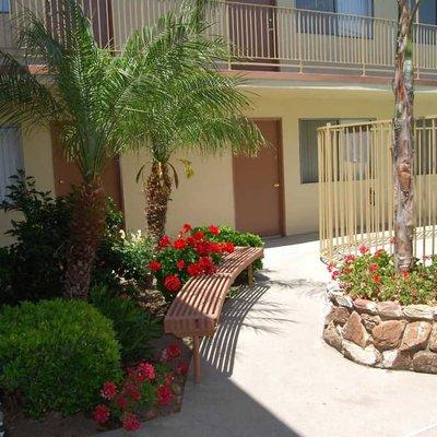 Updated studio apartments surrounding a sparkling pool.