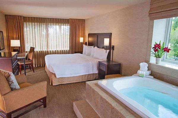 King Jacuzzi Room