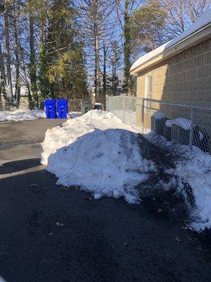 Pile of snow in my driveway.  This is after some had already melted!