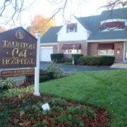 Taunton Cat Hospital - Donna F Horvath DVM logo