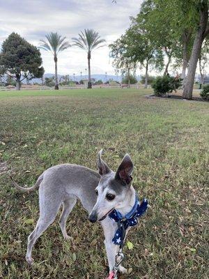 Bella loves this park