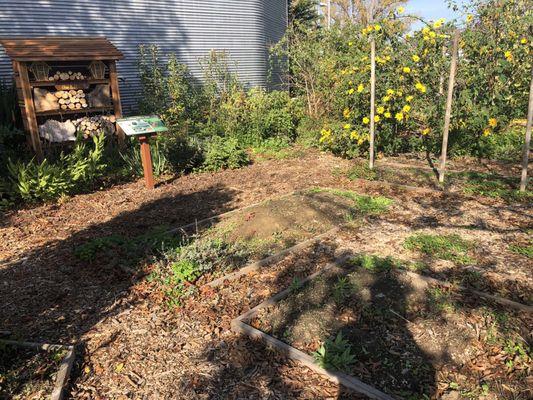 Miniature garden for growing crops and flowers