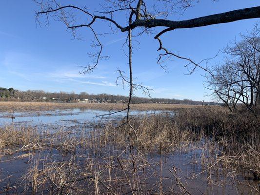 Boundary Creek Natural Resource Area