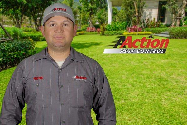 Rene-Our uniformed pest experts are ready to eliminate your pest problem.