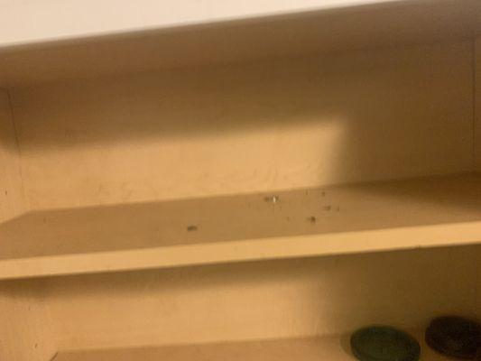 Roaches on top of the kitchen