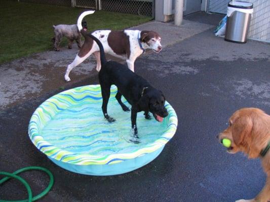 Outdoor play area too!