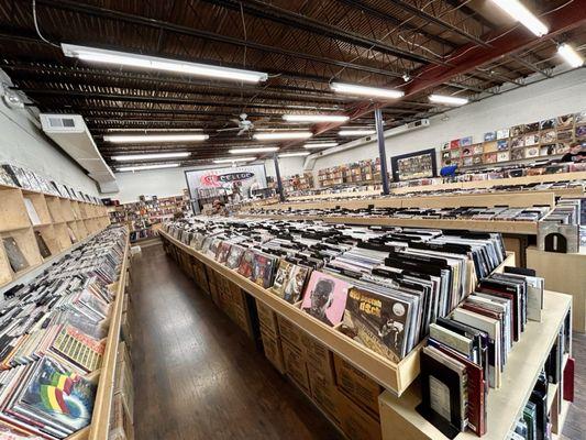 CDs AND vinyl! View from the international records corner.