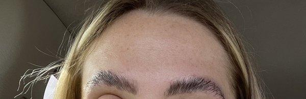 Brow Lamination and tint gone wrong