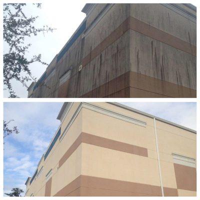 IDW removes black stains from building exteriors.