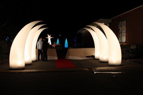 LED Decor is very popular. We can offer many options. Visit our web site for more information