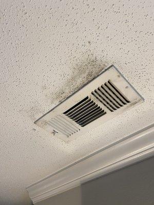 Mold around vents