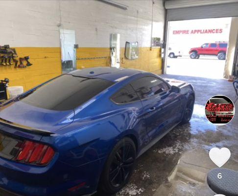 Mustang Tint