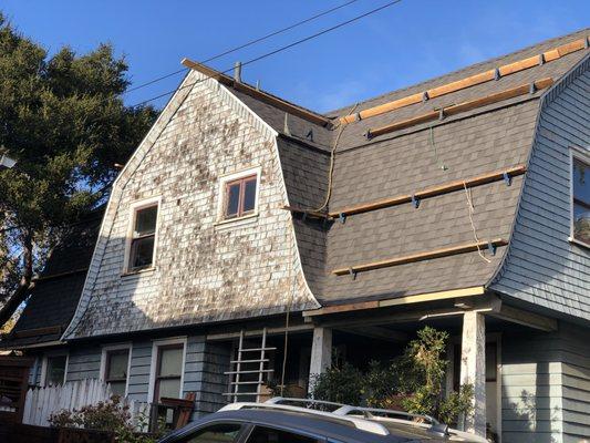 Steep shingle roof