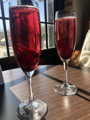 Hibiscus Mimosas