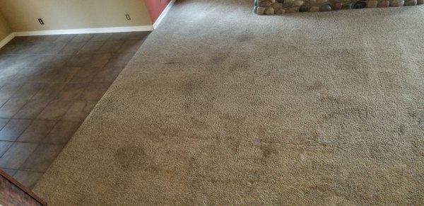 Here are before and after rugs.