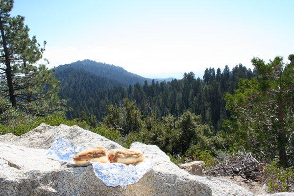 Towne Deli Fried Eggplant in Sequoia National Park, CA