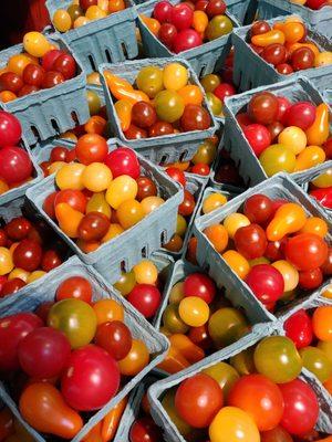 Variety tomatoes