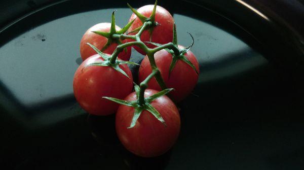 Heirloom Tomatoes