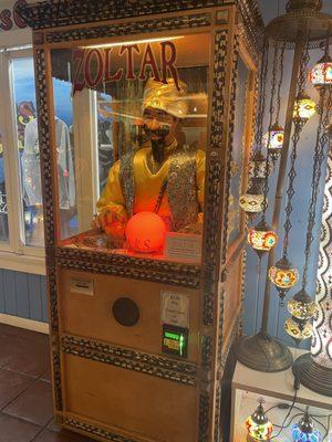 Zoltar was sitting across from 'Queen Mary's Couture,' Shop.