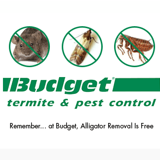 Budget Termite & Pest Control logo