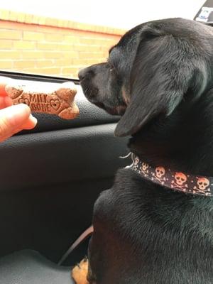 Tfcu gave Penny a cookie for coming with me to the drive thru!