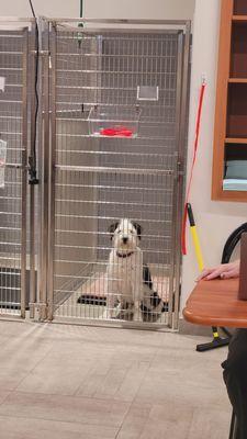 Small & Large holding kennels. Everything is main sight so your pup doesn't feel too isolated.