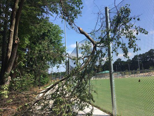 Damaged fence from fallen tree branch on trail