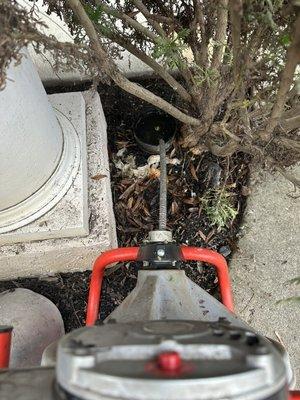 Main Line Drain Cleaning