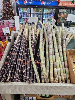 Sugarcane