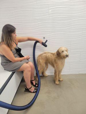 A blow dry room!