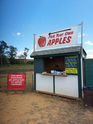 Pick Your Own Apples