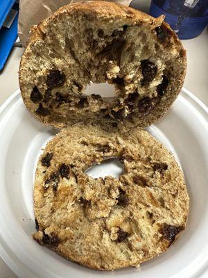 Cinnamon Raisin Bagel loaded with raisins