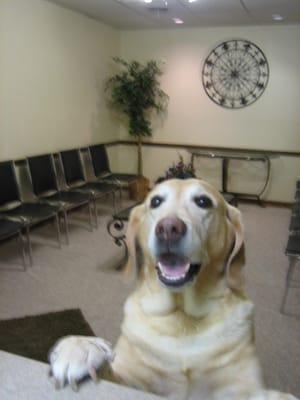 Waiting room with a special visitor!