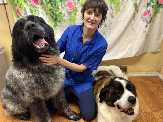 Yuliya and the dogs she just groomed so well.