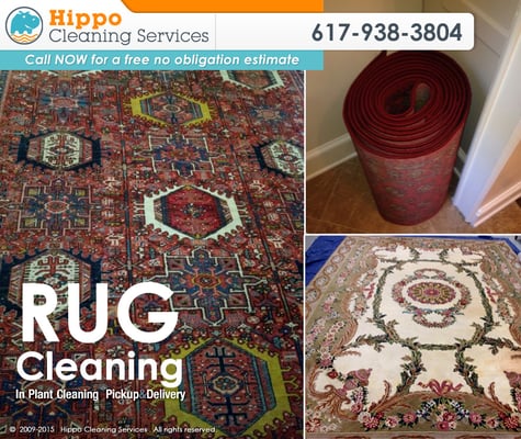 Rug Cleaning Service