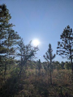 Brooker Creek Headwaters Nature Preserve