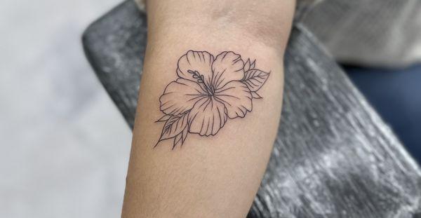 Hibiscus